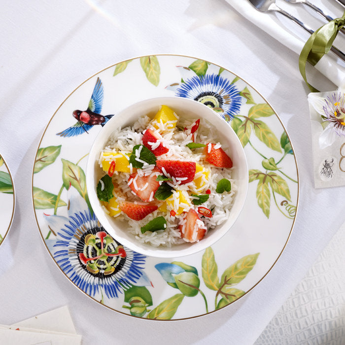 ЧИНИЯ VILLEROY & BOCH, AMAZONIA ANMUT