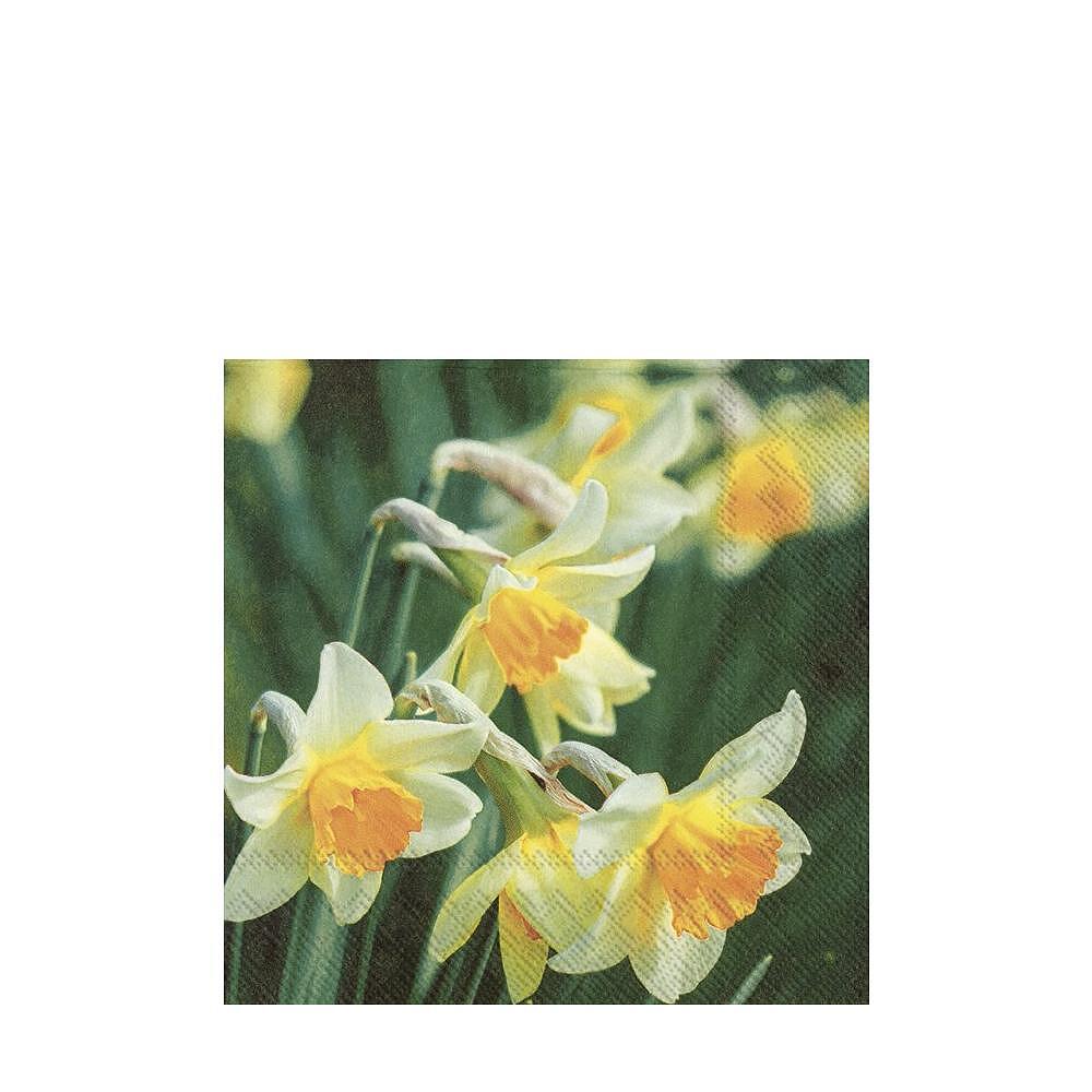 САЛФЕТКИ NARCISSUS MELODIES