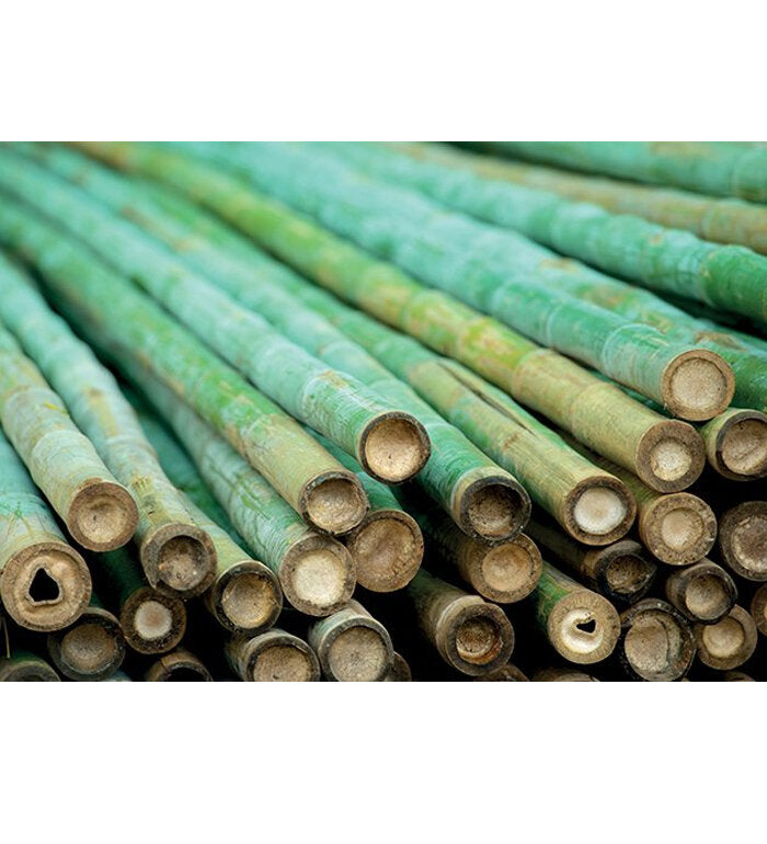 ВЪЗГЛАВНИЦА WHITE BOUTIQUE ECO BAMBOO 50/70