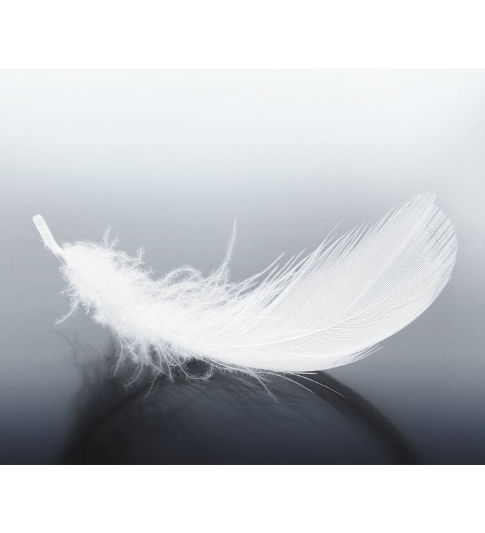 ВЪЗГЛАВНИЦА WHITE BOUTIQUE RUBY 50/70