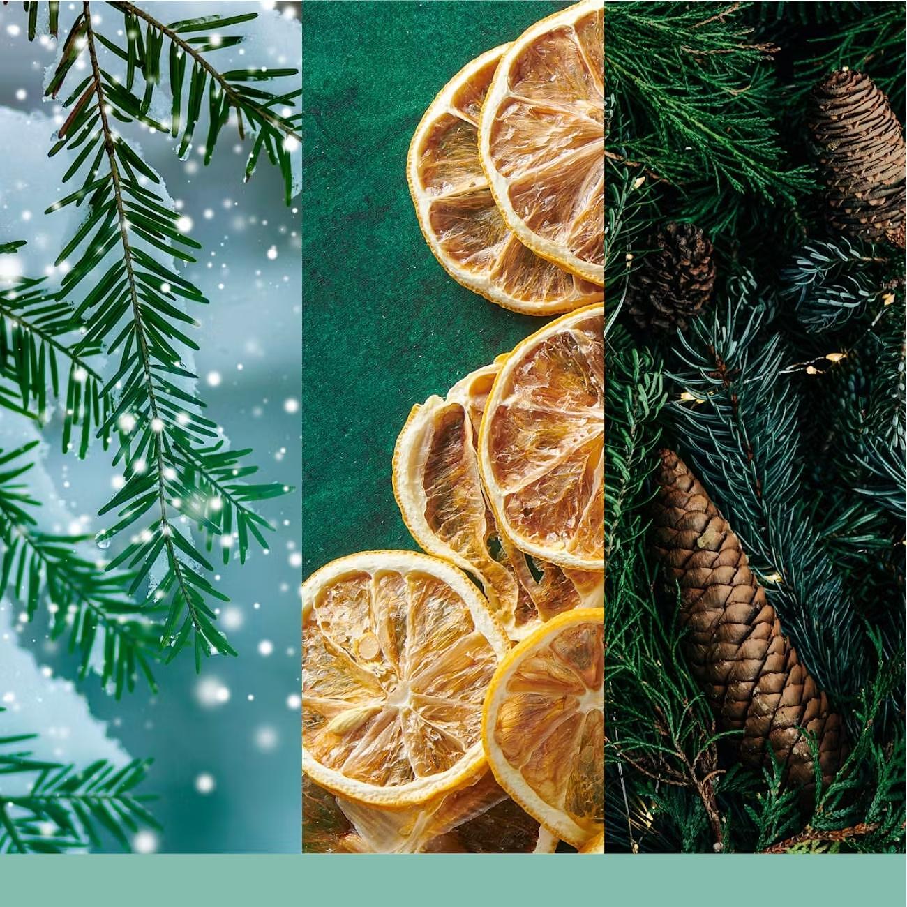 СВЕЩ YANKEE CANDLE SIGNATURE HOLIDAY WINTERFEST