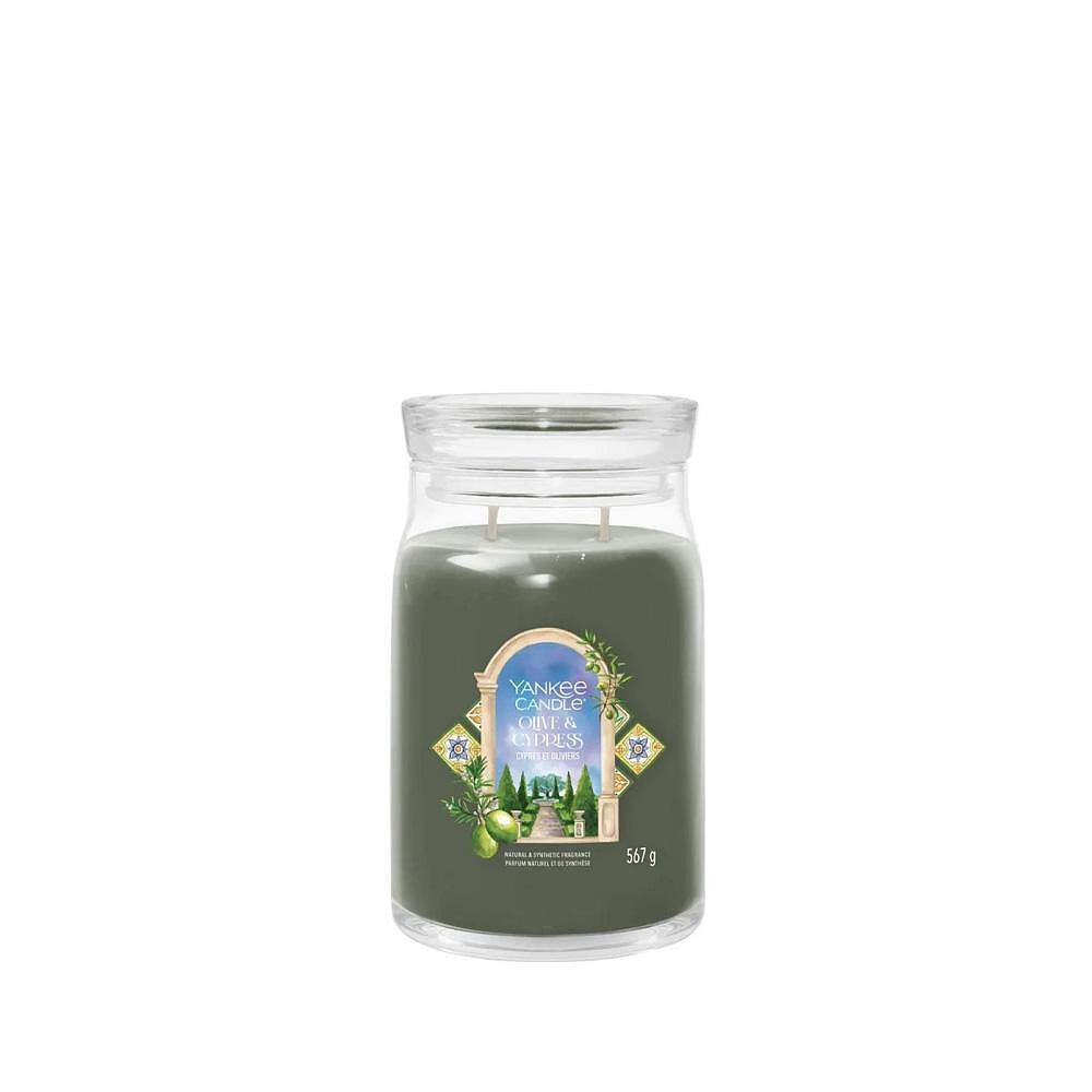 СВЕЩ YANKEE CANDLE SIGNATURE OLIVE/CYPRESS