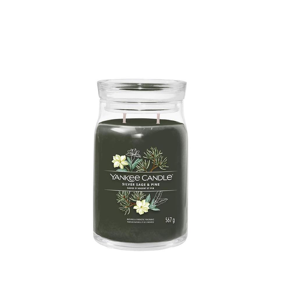 СВЕЩ YANKEE CANDLE SIGNATURE SILVER SAGE/PINE
