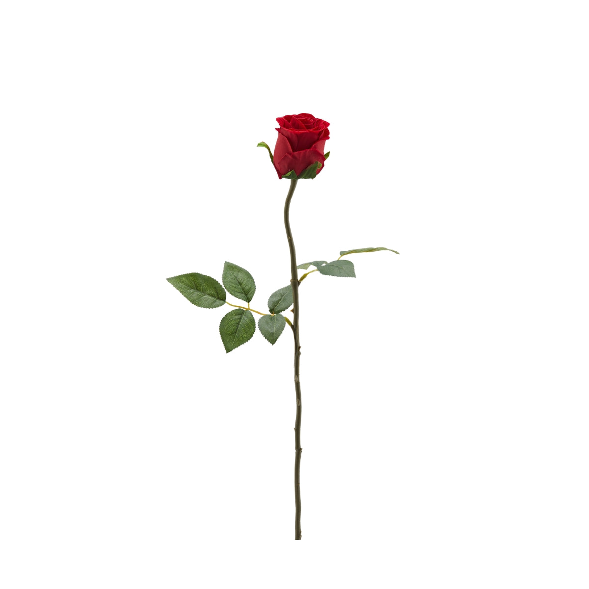 ДЕКОРАТИВНА КЛОНКА РОЗА ОТ КАДИФЕ С ЛИСТА 1БР 60СМ RED
