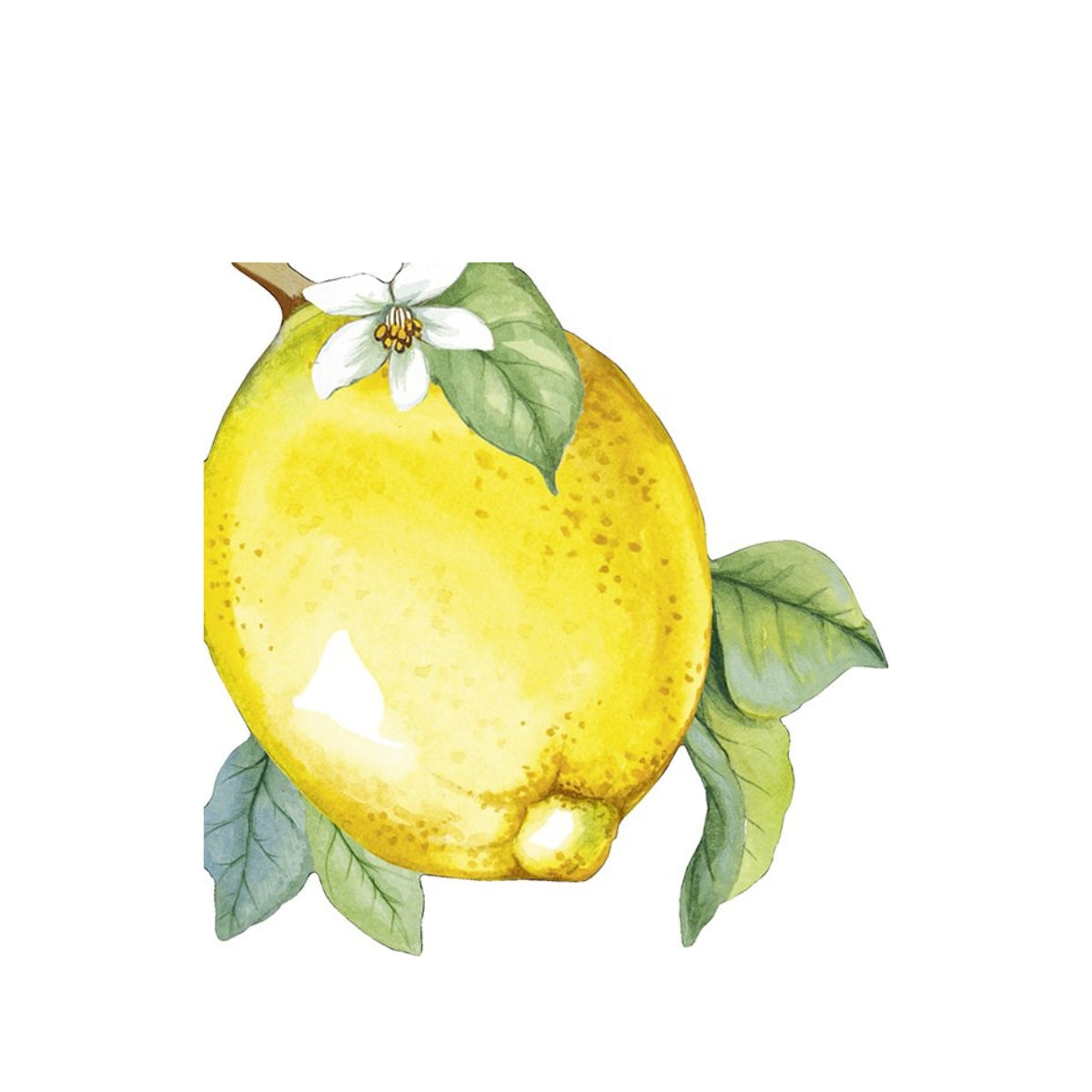 САЛФЕТКИ LEMON