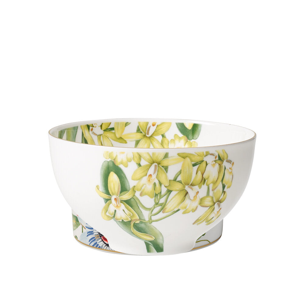 КУПА VILLEROY & BOCH AMAZONIA