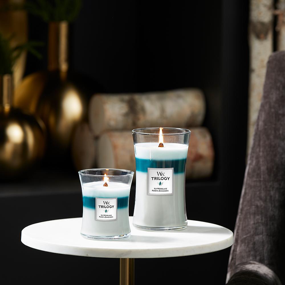 СВЕЩ WOOD WICK TRIL ICY WOODLAND